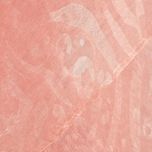 شال زنانه مدل MDSS-CG5422