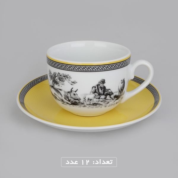 سرویس چینی 102 پارچه غذا خوری چینی زرین ایران سری ایتالیا اف مدل ویلیج درجه یک