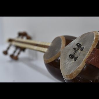 تار 2مهرکامران سایز دو چهارم (کارکرده)