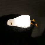 چراغ خواب اردک