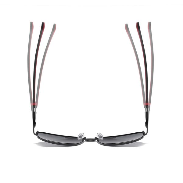 عینک آفتابی خلبانی (Aviator) آلبرت وگ مدل 6313C04-P101 Polarized Avantgarde Visionary