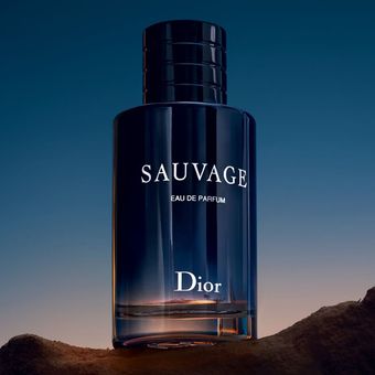 دیور ساواج ادوپرفیوم DIOR Sauvage Eau de Parfum