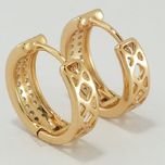 گوشواره زنانه ژوپینگ مدل EX023
