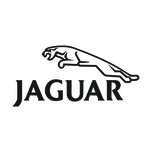 برچسب بدنه خودرو طرح نوین گراف مدل jaguar کد 31