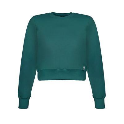سویشرت ورزشی زنانه مدل BM-PS-12410901