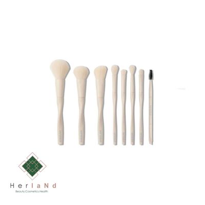 ست براش هشت عددی شیگلم