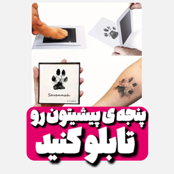 کیت پنجه(بدون جوهری شدن پنجه ی پتتون)