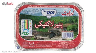 پنیر لاکتیکی زیارت پگاه مقدار 280 گرم