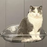 جای خواب گربه مدل شیشه ای مکشی window Bed