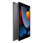 تبلت اپل مدل iPad (9th Generation) 10.2-Inch Wi-Fi 2021 ظرفیت 256 گیگابایت 
