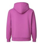 هودی مردانه مدل MDSS-CH6892