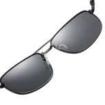 عینک آفتابی خلبانی (Aviator) آلبرت وگ مدل 6313C04-P101 Polarized Avantgarde Visionary