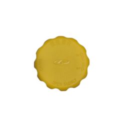 درب منبع انبساط خودرو کد 110 مناسب برای mvm 110