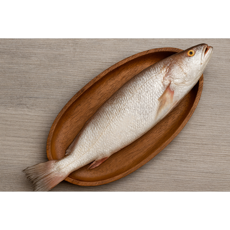 شوریده درشت صادراتی بوشهر