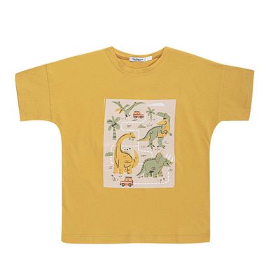 تی شرت آستین کوتاه پسرانه مدل MDSS-CH1804