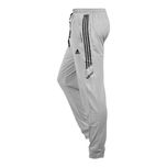 شلوار ورزشی مردانه مدل GS-M-P-204384