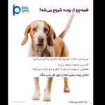 پودر پروبیوتیک و پری‌بیوتیک سگ بایو پت مدل Flora وزن 400 گرم