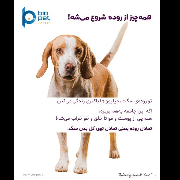 پودر پروبیوتیک و پری‌بیوتیک سگ بایو پت مدل Flora وزن 400 گرم