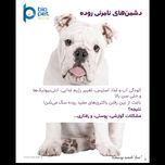 پودر پروبیوتیک و پری‌بیوتیک سگ بایو پت مدل Flora وزن 400 گرم
