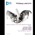 پودر پروبیوتیک و پری‌بیوتیک سگ بایو پت مدل Flora وزن 400 گرم