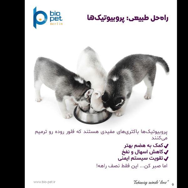 پودر پروبیوتیک و پری‌بیوتیک سگ بایو پت مدل Flora وزن 400 گرم