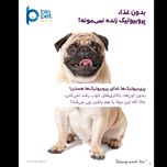 پودر پروبیوتیک و پری‌بیوتیک سگ بایو پت مدل Flora وزن 400 گرم