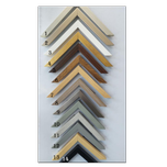 طرح شاخه‌های زیتون