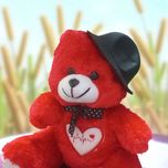 عروسک مدل خرس کلاهدار ارتفاع 20 سانتی متر