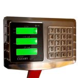 باسکول دیجیتال کمری مدل 300kg