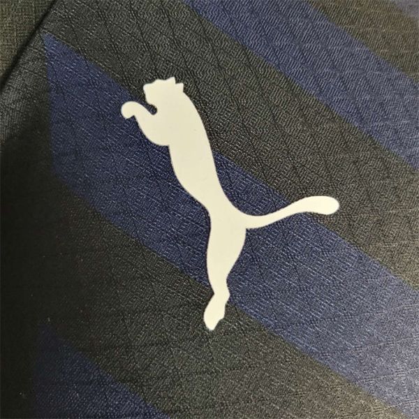 تی شرت ورزشی مردانه مدل الهلال ورژن پلیری 3rd 2024