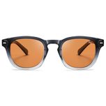 عینک آفتابی پنتوس (Pantos) آلبرت وگ مدل S31130C3 Acetate Avantgarde Visionary