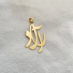 آویز گردنبند طلا 18 عیار زنانه سهی مدل آراد کد SNA29