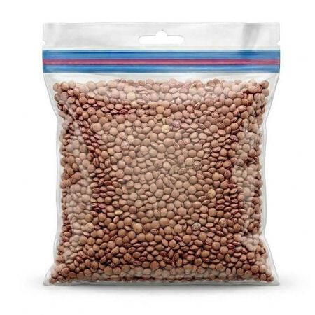 عدس