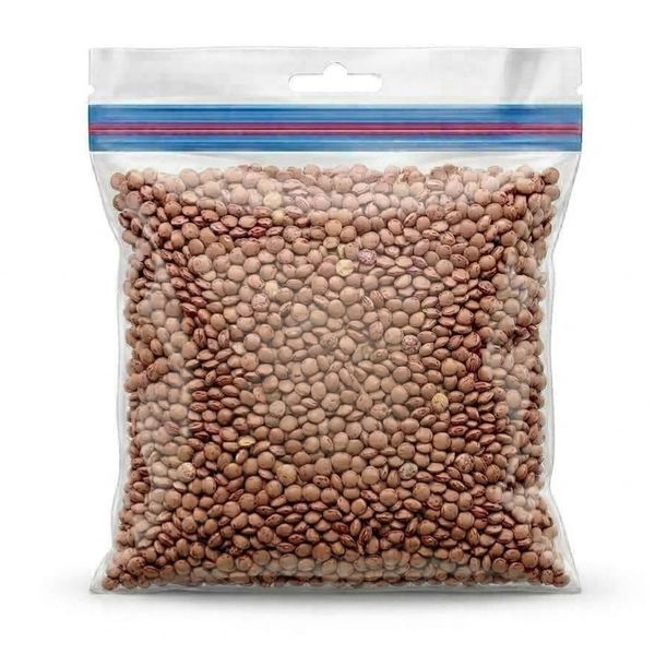 عدس