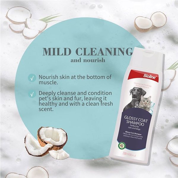 شامپوی براق کننده ی موی سگ و گربه ی بایولاین / Bioline dog & cat glossy coat shampoo