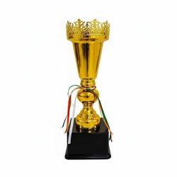 کاپ قهرمانی مدل IR012