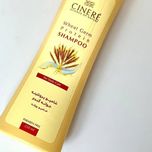 شامپو مو پروتئینه جوانه گندم سینره مدل Wheat Germ حجم 250 میلی‌لیتر