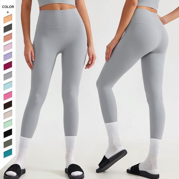 لایت لگ دانور