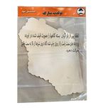 کلاه تولد مسترتم طرح دخترکفشدوزک پلاس مدل 6 عددی