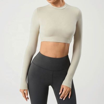 فلو تاپ دانور