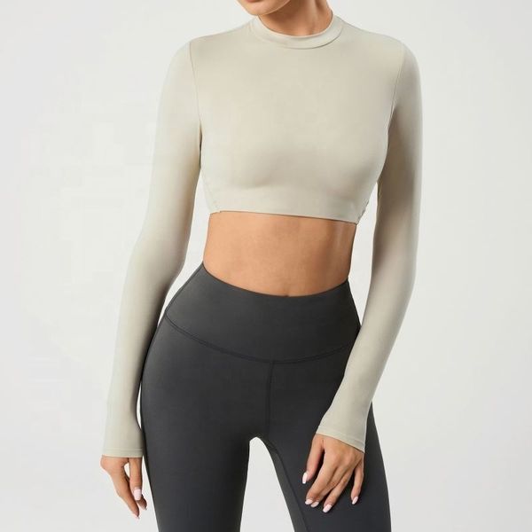 فلو تاپ دانور