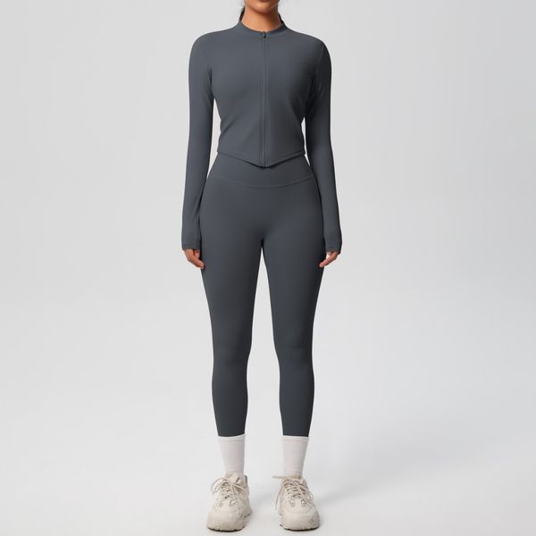 دانور هارمونی