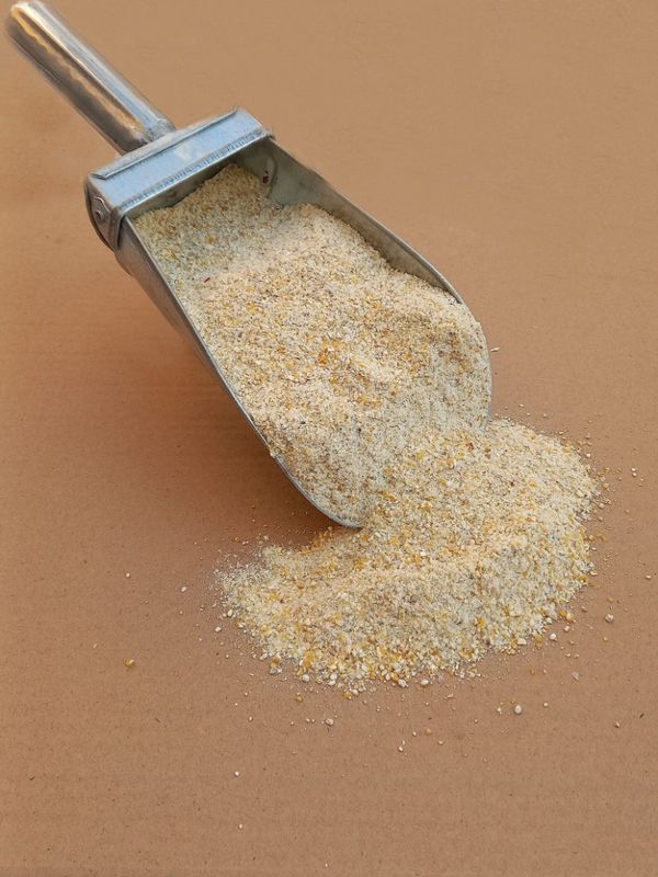 دان طیور معمولی وزن یک کیلویی
