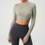 فلو تاپ دانور