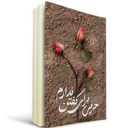 کتاب حرفی برای گفتن ندارم