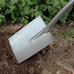 بیل فیسکارس مدل 131310