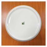 بشقاب غذاخوری زی مدل تخت 24 درجه یک بسته 6 عددی