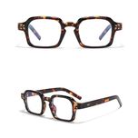 عینک محافظ چشم مدل SZ 2005 Anti Blue Light Leopard