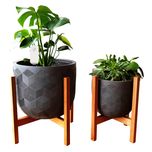 حسگر هوشمند گل و گیاه