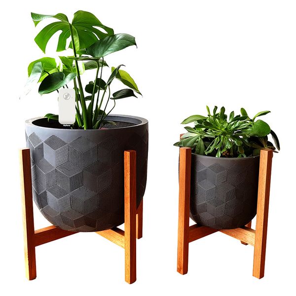 حسگر هوشمند گل و گیاه